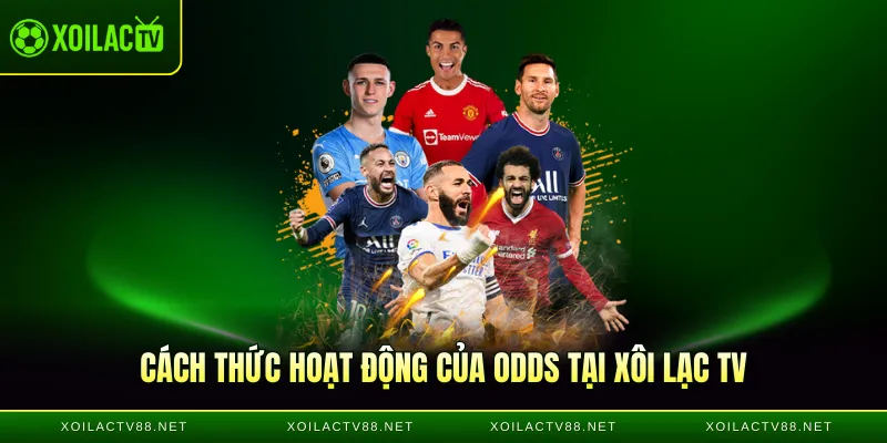 Cách thức hoạt động của Odds tại Xôi Lạc TV