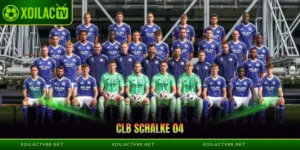 Câu Lạc Bộ Schalke 04 - Niềm Tự Hào Xứ Sở Vùng Ruhr