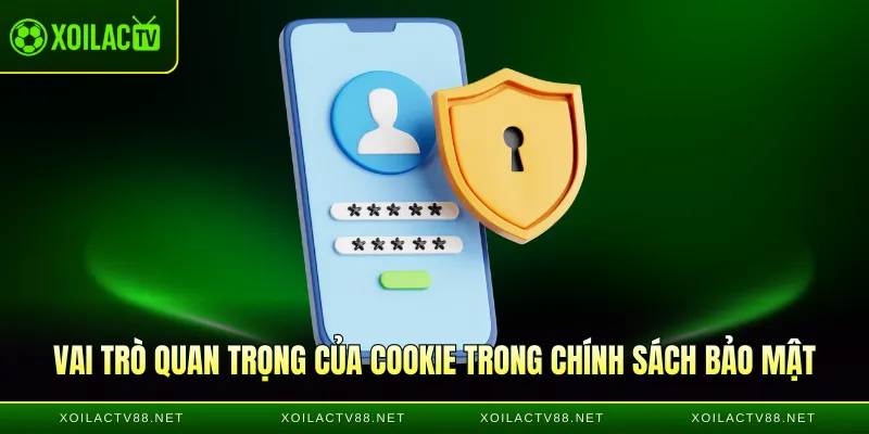 Vai trò quan trọng của Cookie trong chính sách bảo mật